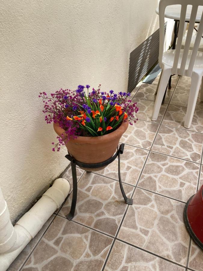 Poppys Chambres D'Hotes Céret Eksteriør bilde